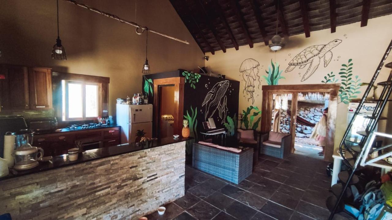 Urbanos Jungle Hostel Santa Catalina Eksteriør bilde